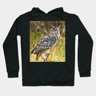 Eurasian Eagle Owl Hoodie